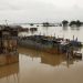 Nigeria: Floods Reach 30 States, Death Toll Rises To 600