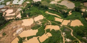 Entrust Galamsey Issues in the Hands of District Assemblies-Landowner to Govt
