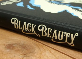 Book Review: “Black Beauty” by Belinda Fafa Doe
