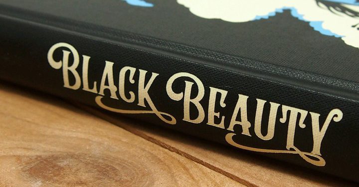 Book Review: “Black Beauty” by Belinda Fafa Doe