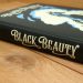 Book Review: “Black Beauty” by Belinda Fafa Doe