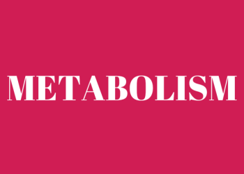 Feature: How metabolism affects weight loss