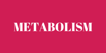 Feature: How metabolism affects weight loss