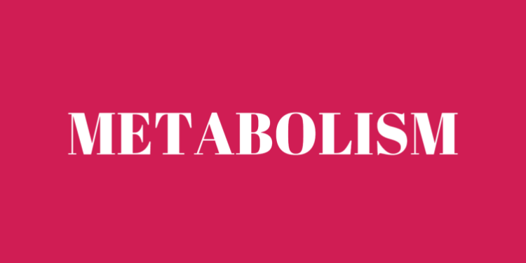 Feature: How metabolism affects weight loss | The Sikaman Times