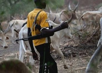 Let’s collaborate to stop fights and killings – Fulani chiefs tell farming communities