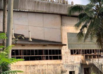 17 non-operational SOEs to be sold off