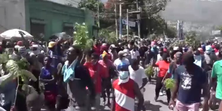 Haiti: Thousands march to demand safety from violent killings and kidnappings