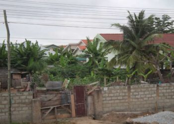 Lashibi: Owner of Nelmax Clinic laments loss of business from goat-rearing activities in locality