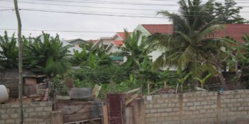 Lashibi: Owner of Nelmax Clinic laments loss of business from goat-rearing activities in locality