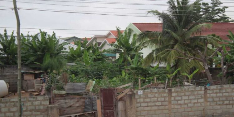 Lashibi: Owner of Nelmax Clinic laments loss of business from goat-rearing activities in locality