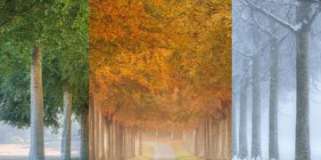 Poem: “Seasons” by Reynold Adjei