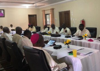 Military intervention in Niger should not even be contemplated – Catholic Bishops Conference