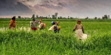 India’s ban on rice exports to trigger global food crisis