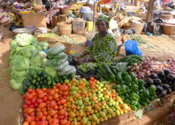 August 2023 inflation drops to 40.1%