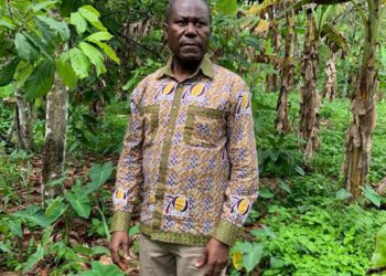 The cocoa price debate: COCOBOD CEO writes to John Mahama