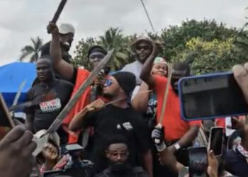 Akufo-Addo condemns machete-brandishing NDC members at Mahama’s office