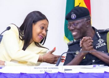 We’re committed to ensuring peaceful district-level elections – IGP assures EC