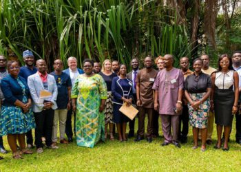 2024 Polls: Denmark to support SDGs 16 and 13 in Ghana