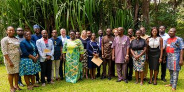 2024 Polls: Denmark to support SDGs 16 and 13 in Ghana