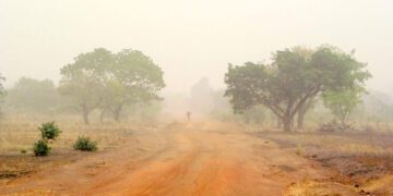 Knowing about and coping with the Harmattan
