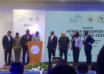 Infrastructure investments top agenda at 2025 African Prosperity Dialogues launch