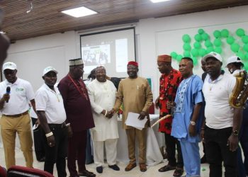 Nigerians in Diaspora Africa outdoors new executives
