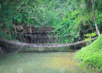 Poem: “The Center Cannot Hold” by Patience G. Okyere Asante