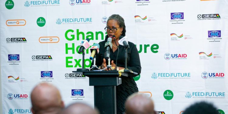 Ghana targets US$ 25.3billion revenue by 2029 under new export development strategy