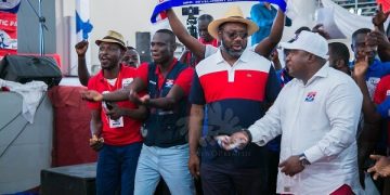 2024 Elections: NAPO's 'Akufo-Addo better than Nkrumah’ remark sparks discussions