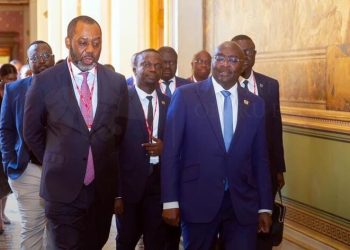 I bring on board service and leadership – NAPO on confirmation as running mate