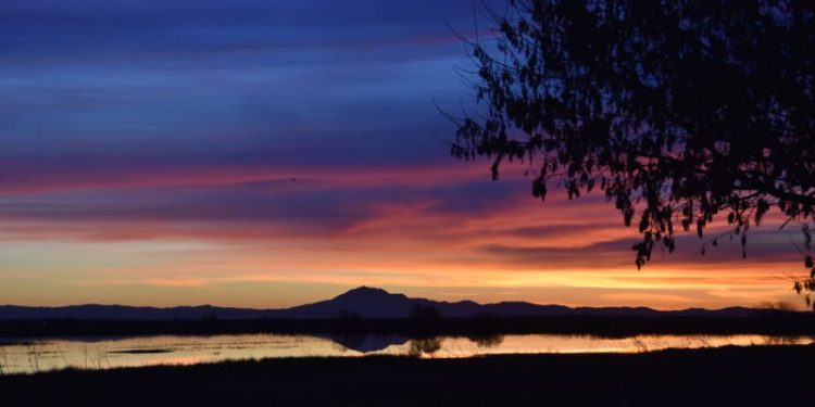 Poem: The Walk by Reynold Adjei