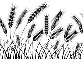 Poem: “Harvest” by Reynold Adjei