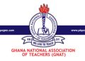 GNAT: Nationwide strike against galamsey will continue despite President’s plea