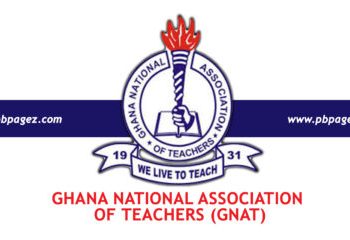 GNAT: Nationwide strike against galamsey will continue despite President’s plea