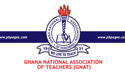 GNAT: Nationwide strike against galamsey will continue despite President’s plea