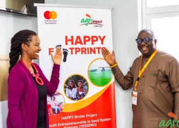Mastercard, Agri-Impact launch project to create 330,000 jobs for youth in agriculture