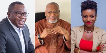 Segbefia, Ofosu-Ampofo, others appointed to Office of Vice President