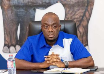 No campaigning until nominations open — NPP warns members