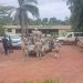 Ghana Coalition Against Galamsey condemns alleged raid on forestry commission offices
