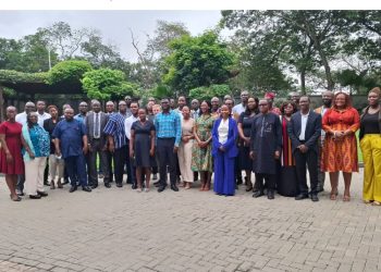 CDD-Ghana presentation on DemCap