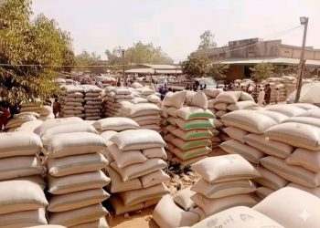 EXPLAINER: All you need to know about agricultural produce glut