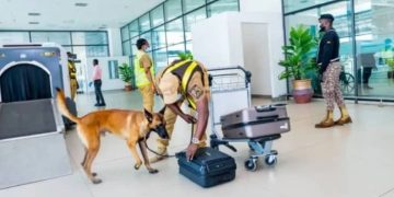 Manager arrested at KIA for alleged cocaine smuggling in gari consignment