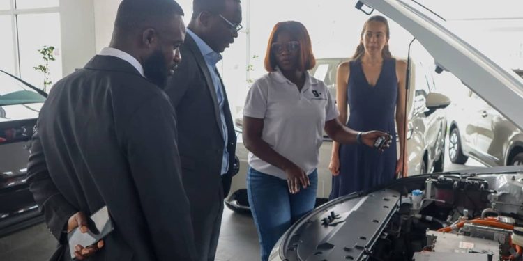 Clean Energy Chamber calls for lower import duties on EVs, components for local assembly