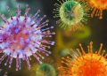 Ghana tightens border surveillance over hantavirus outbreak on cruise ship