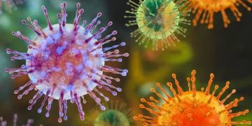 Ghana tightens border surveillance over hantavirus outbreak on cruise ship
