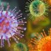Ghana tightens border surveillance over hantavirus outbreak on cruise ship
