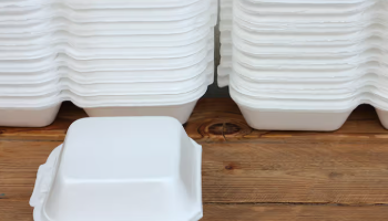 Styrofoam ban: Plastic manufacturers call for 2030 extension, cite economic, job concerns