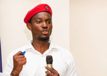 Economic Fighters League backs proportional representation but calls for broader reform