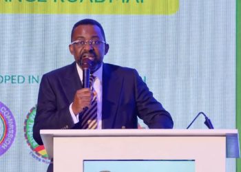 BoG launches Sustainable Finance Roadmap to strengthen climate resilience, attract investment