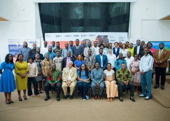 GIZ project delivers 12 prototypes, adapts 18 digital solutions for informal entrepreneurs